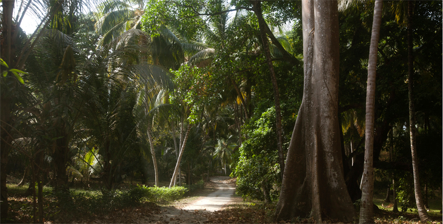 In the north of Colombia at the Caribbean sea and only 5 minutes from Tayrona National Park you find Finca Barlovento